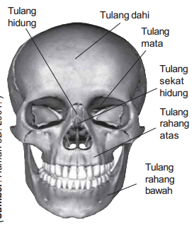 tula ng matanda tula ng matanda