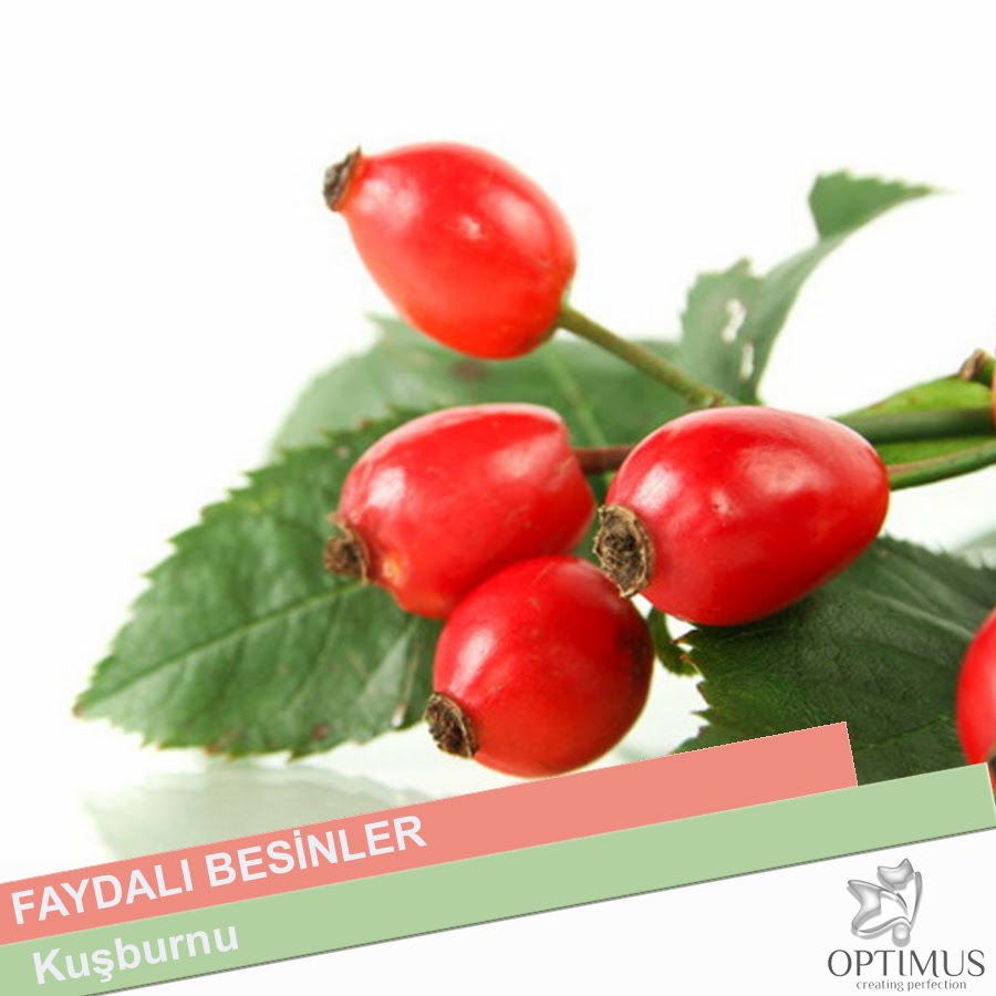 Kuşburnunun Faydaları-Kuşburnunun Cilde Faydaları Nelerdir Kuşburnunun Faydaları-Kuşburnunun Cilde Faydaları Nelerdir