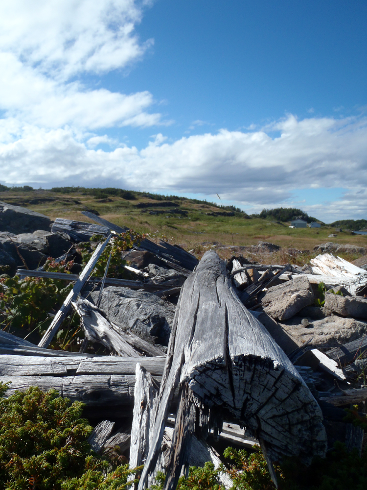My Newfoundland Kayak Experience Bonavista Bay Flat Island walkabout