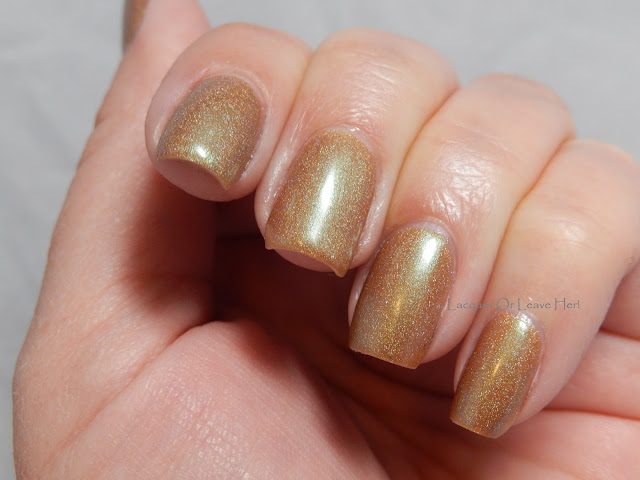 Elevation Polish Gobi