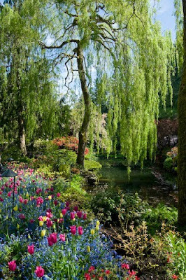 Pulseras de gomitas flores hermosas fotos de paisajes - Fotos De Paisajes Hermosos Con Flores