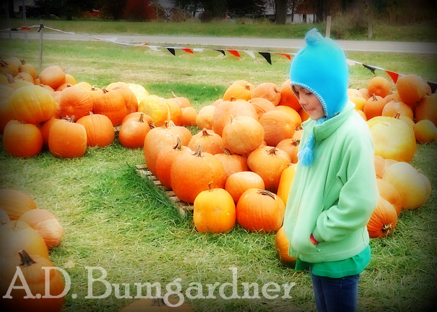 My life, in photos (mostly.): Pumpkin Patch with the Family: Set 3