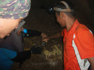 KEMBARA LASAK GUA BATU MALOI, JOHOL, NEGERI SEMBILAN . 1 JUN 2013 gua batu maloi | katak gunung | katak
