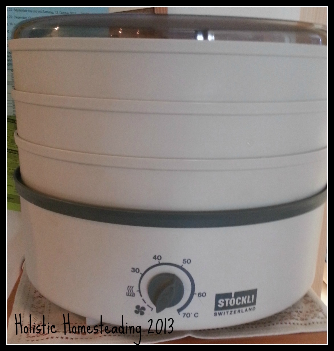 Holistic Homesteading CinnamonApple Crisps Recipe