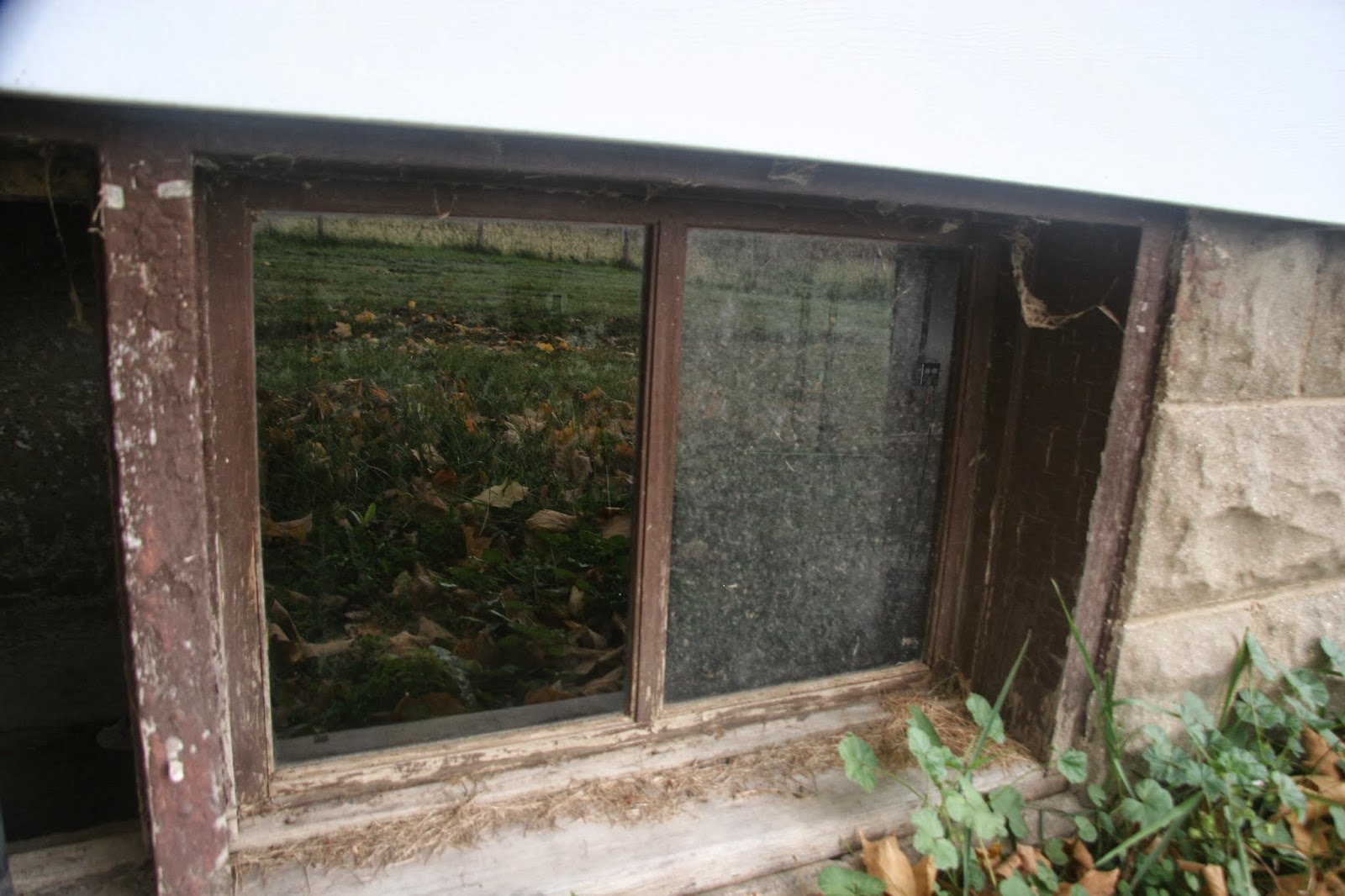 Crafty Homestead New Basement Windows