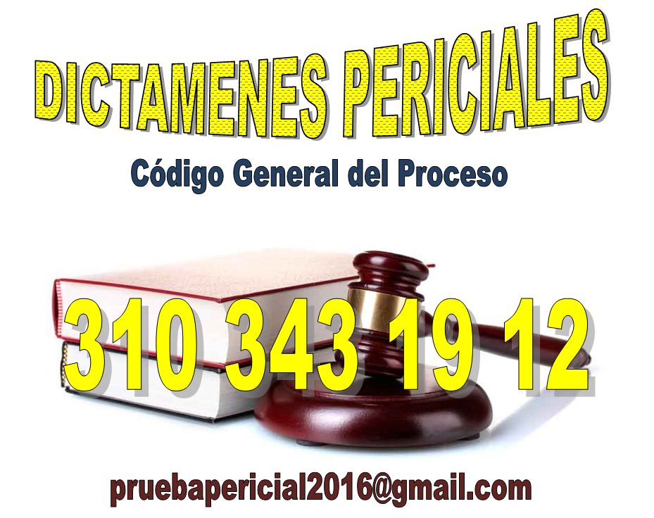             DICTÁMENES PERICIALES