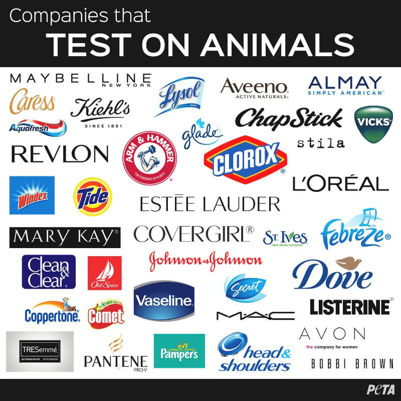 popular brands who still test on animals in 2016 reviews popular brands who still test on animals in 2016 reviews