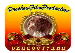 Студия "ProshowFilm Production"