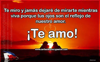 Jamás dejare de mirarte. Cartas de amor,