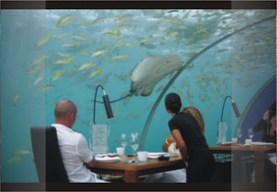 Restoran Ini Berada di Bawah Samudra - Ithaa Undersea Restaurant