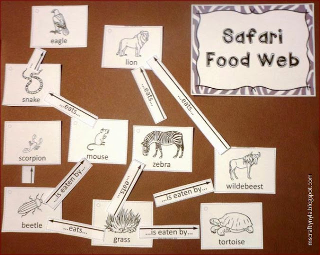 Nyla's Crafty Teaching How to Make a Food  A Complete Guide