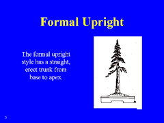 Formal Upright