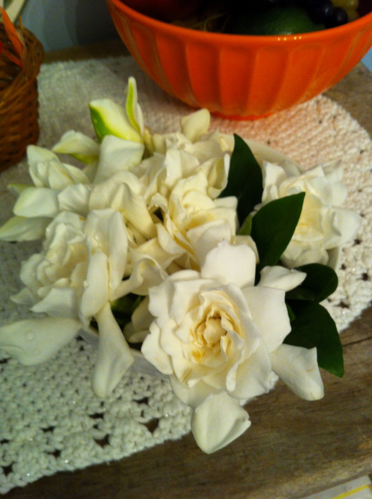 The Wonders of Doing What can I do with all these Gardenias