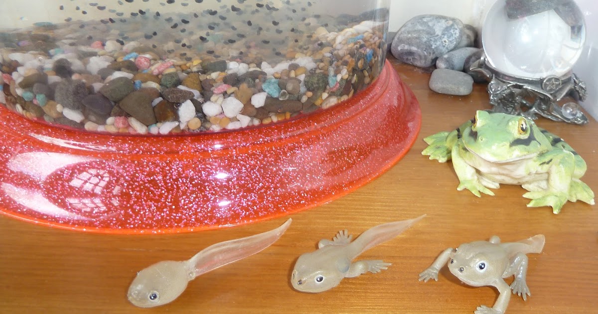 QWERTY Mum Tadpoles in a Jar