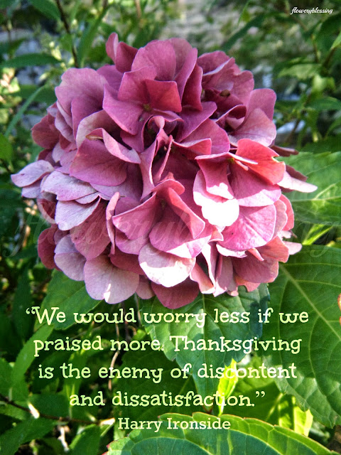 Flowery Blessing: October 2013