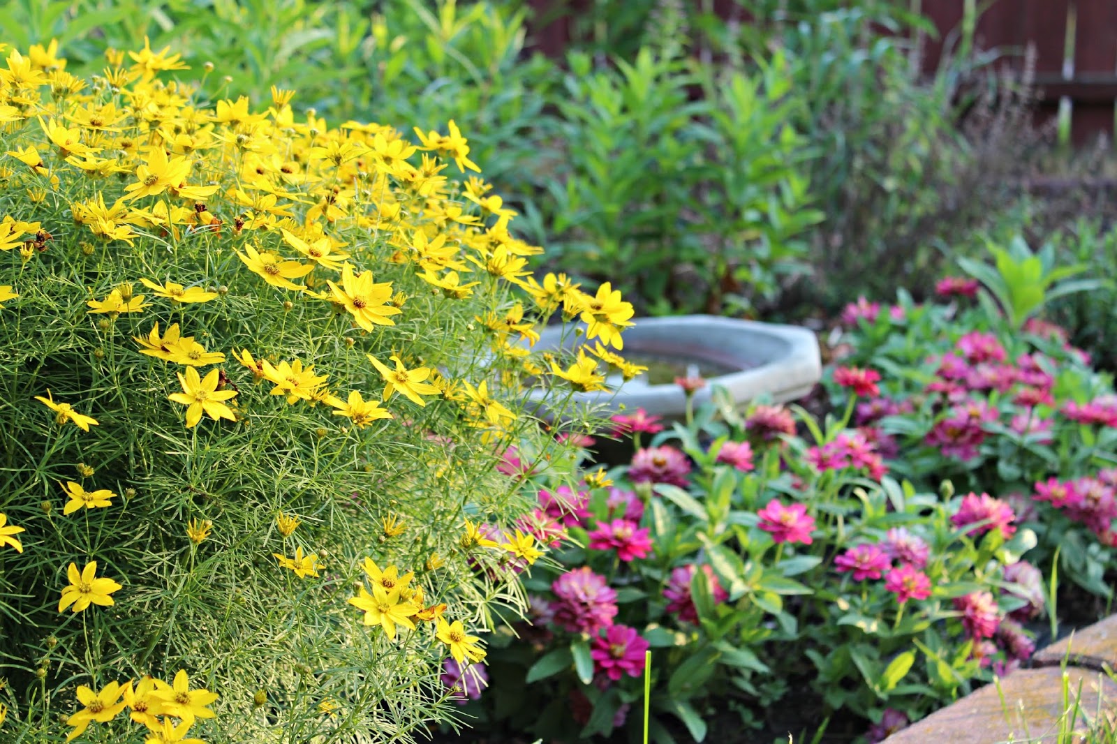 Happy At Home Favorite Long Blooming Perennials and Shrubs