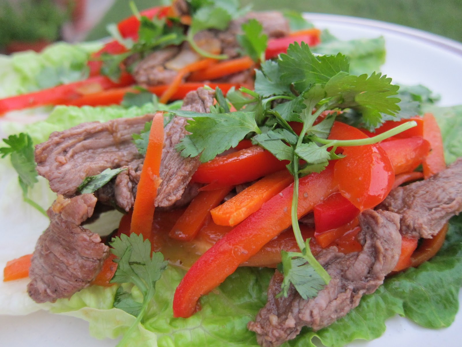 Will Blog For Food Flank Steak Fajita Lettuce Wraps