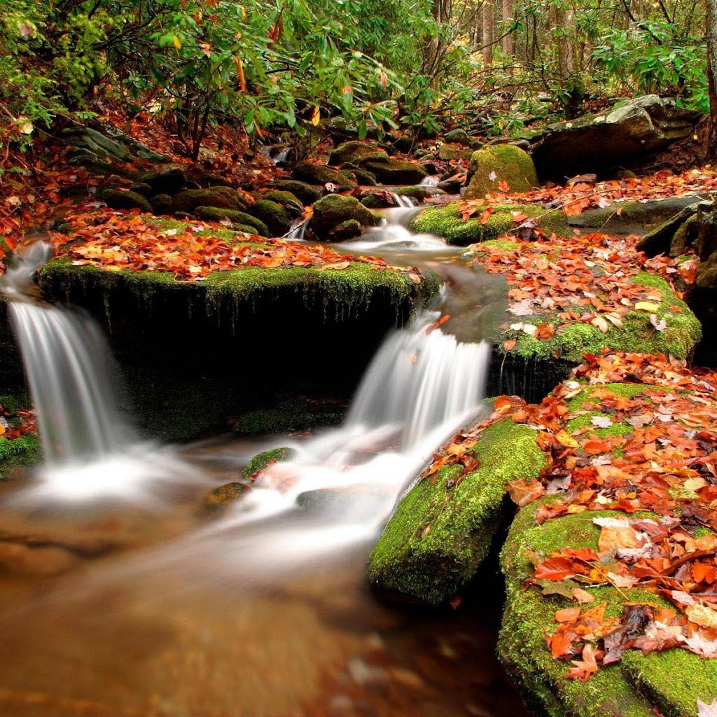 3d Images Of Nature For Desktop 3d Images Of Nature For Desktop