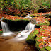 3d Nature wallpapers | New 3d nature wallpapers | Beautiful nature 3d wallpapers | 3d Desktop wallpapers | 3d desktop backgrounds