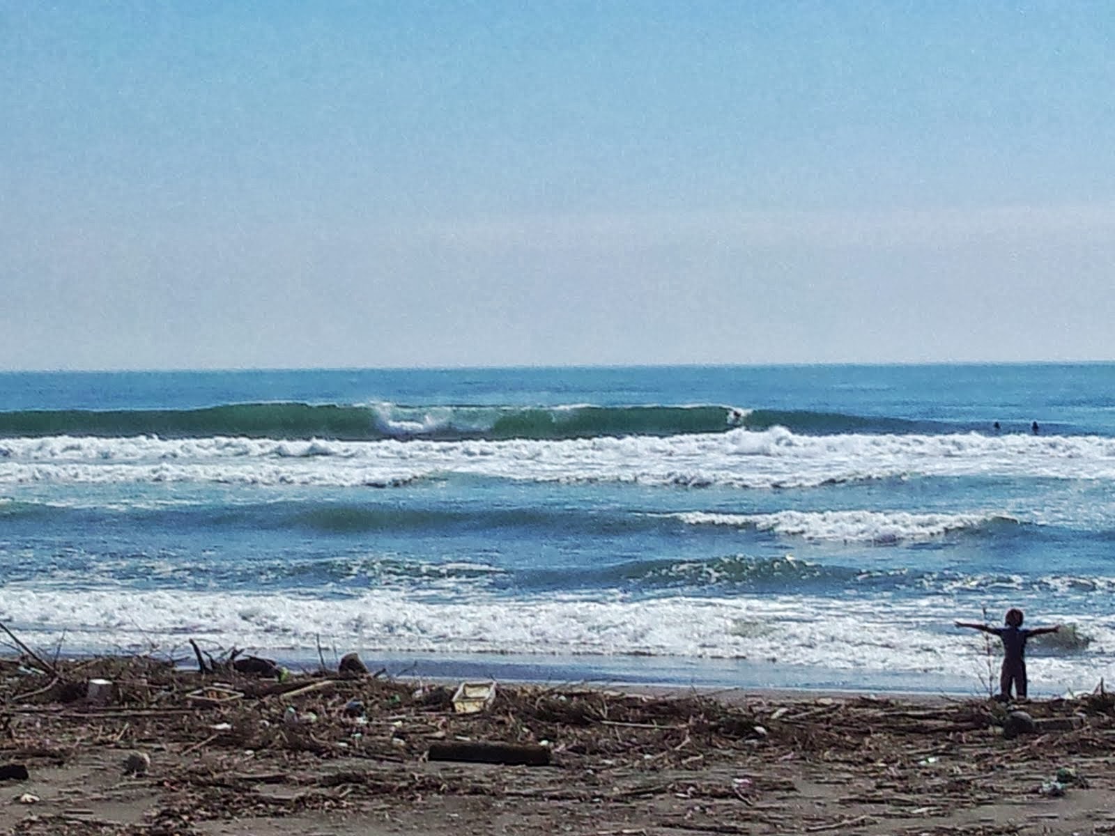 木崎 浜 波 情報