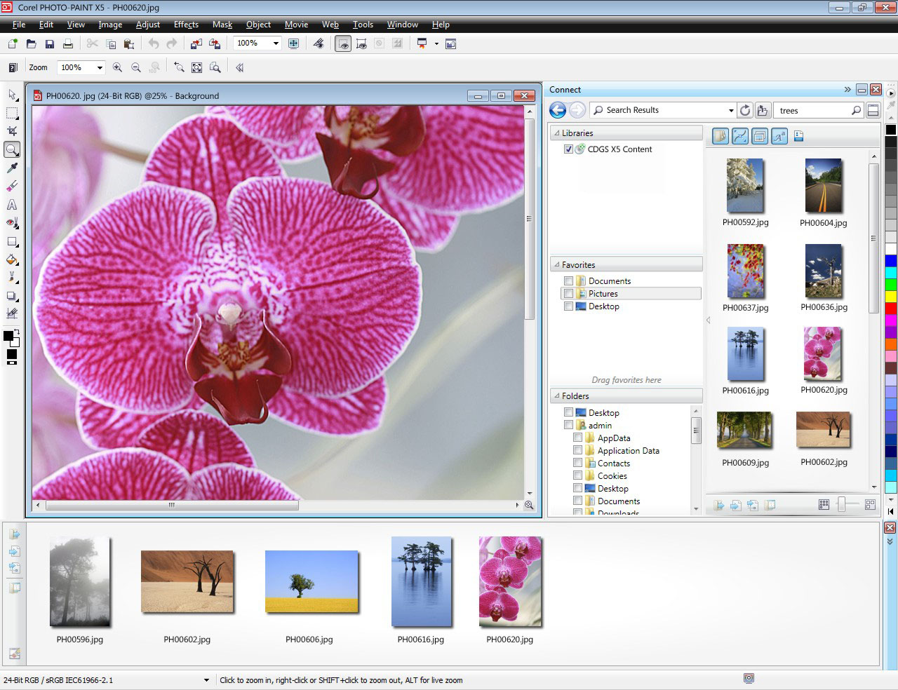 Corel Draw Suite