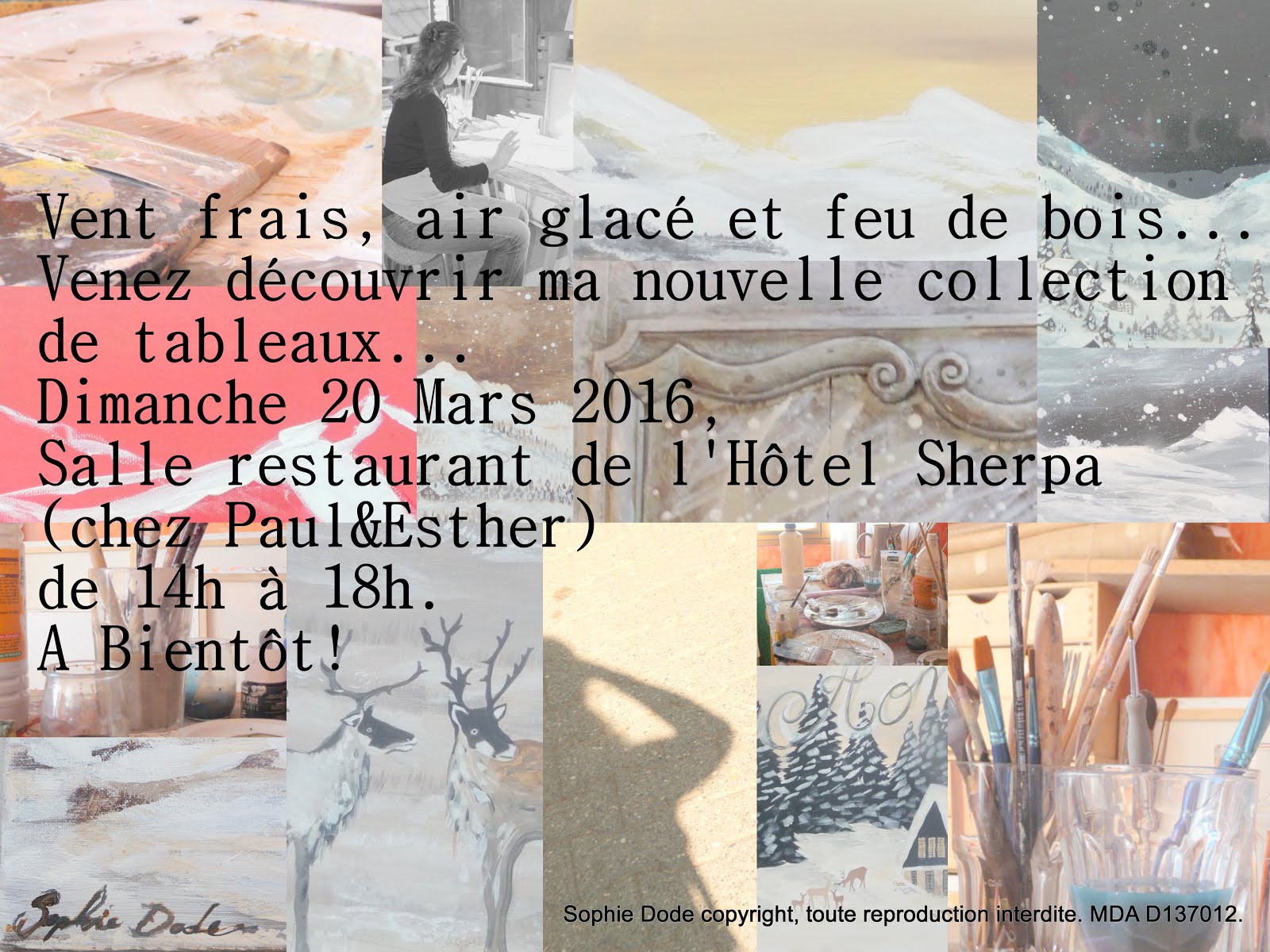 Vernissage Dimanche 20 mars 2016, Hôtel Sherpa, aux 2 Alpes.