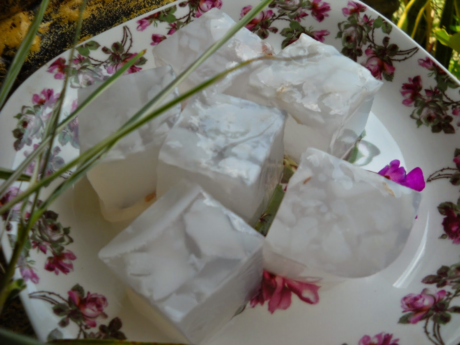 Resep Cara Membuat AgarAgar Lapis Kelapa Muda RESEP Resep Cara Membuat AgarAgar Lapis Kelapa Muda RESEP