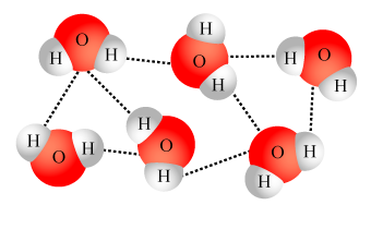 Molecula