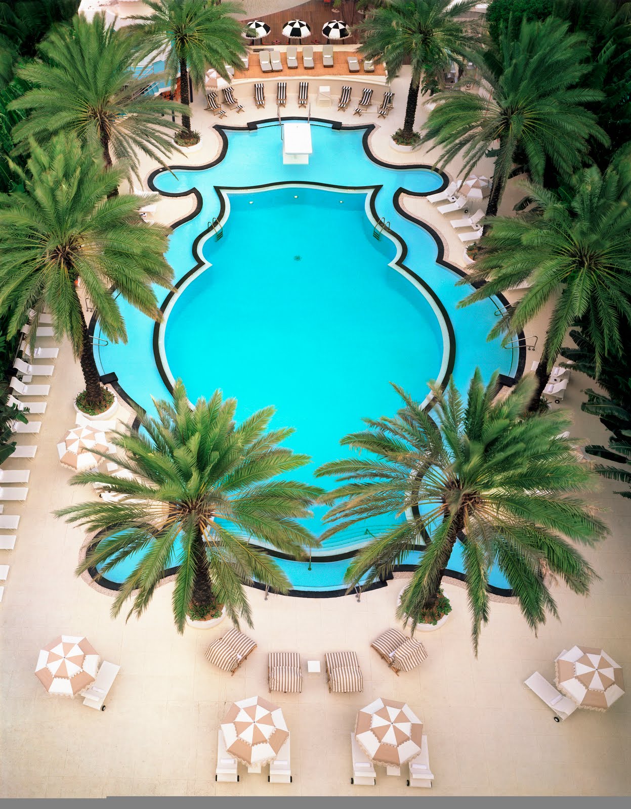 Raleigh Pool