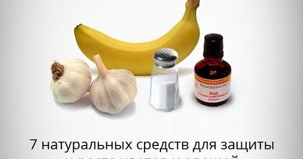 Дрожжи поливать цветы Дрожжи поливать цветы