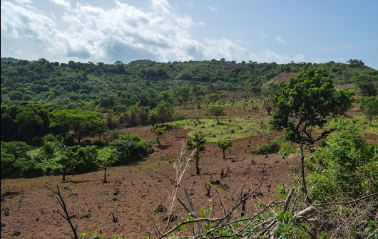Guinée : ce merveilleux pays que les touristes ignorent