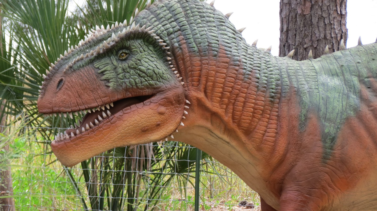 Our Nature Jurassic Jacksonville