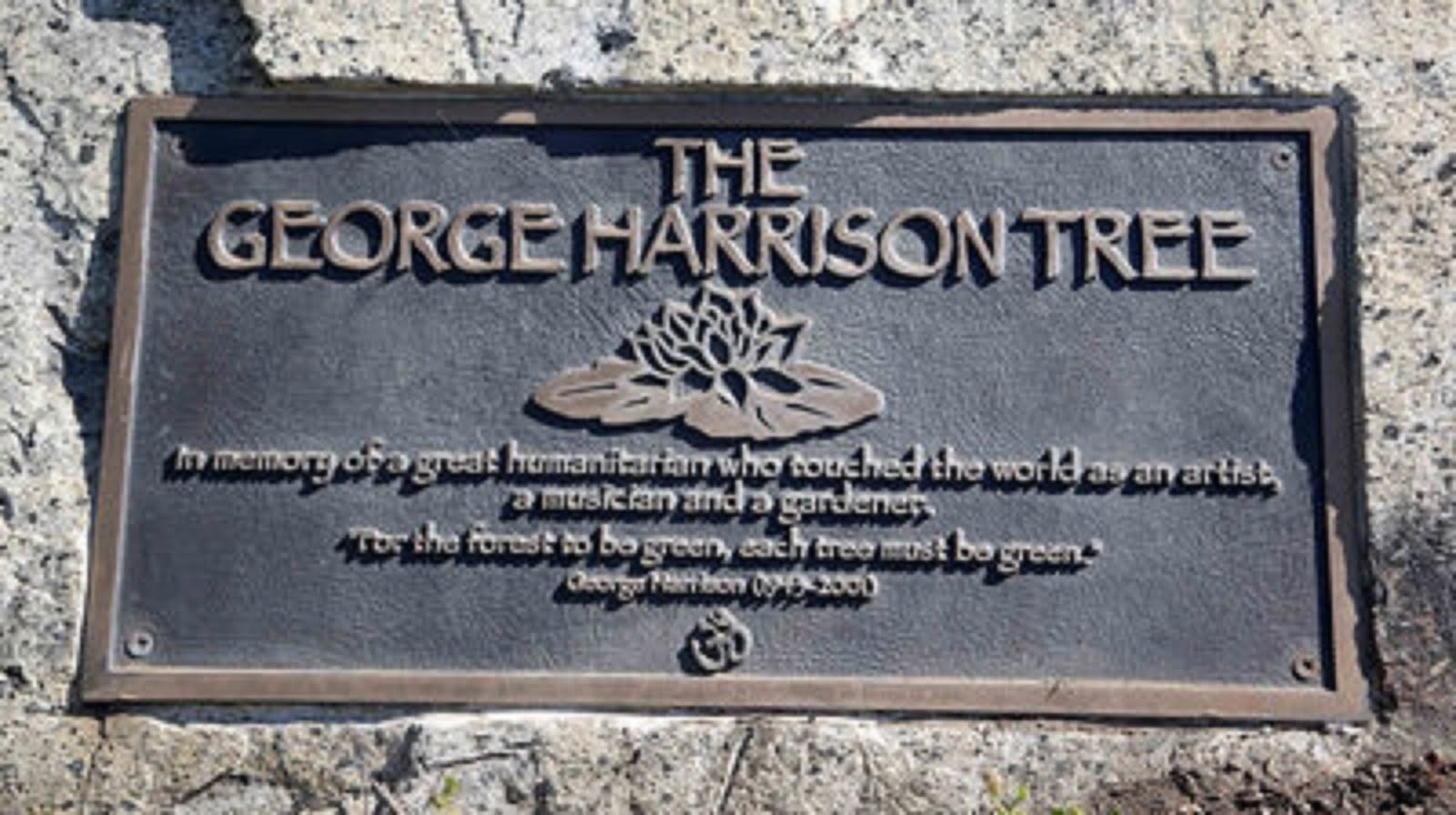 THE GEORGE HARRISON TREE