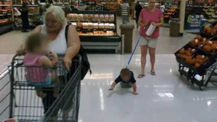 Pets are not allowed in grocery stores ~