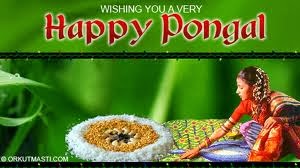 Makar Sankranti/Pongal