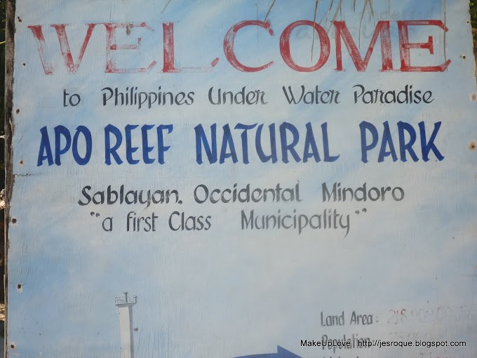 Apo Island