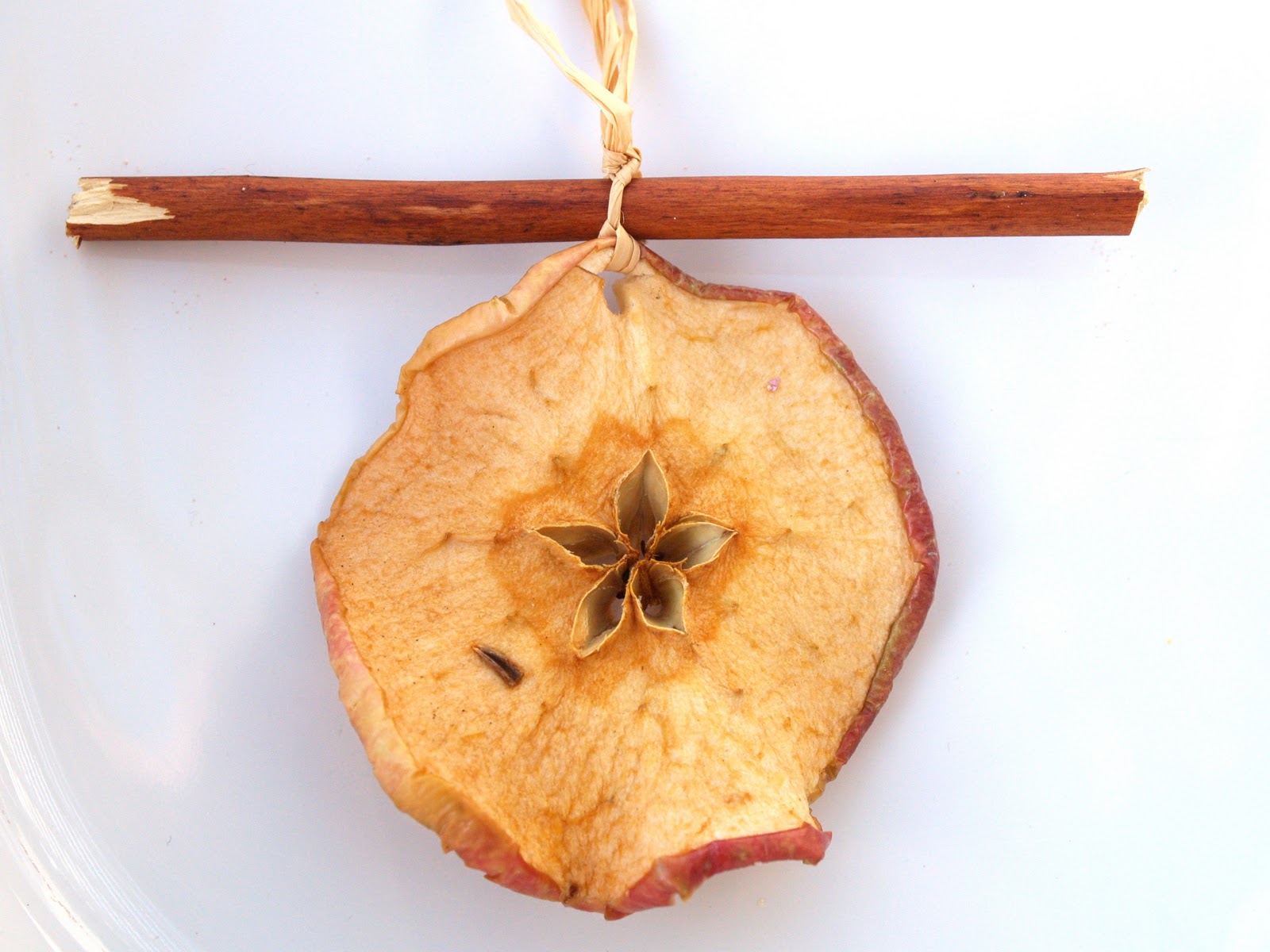 Handmade Christmas Ornaments Dried Apples and Cinnamon The Magic