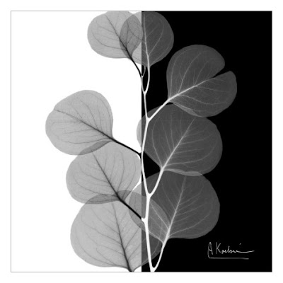 Nyein Chan Aye – Poem