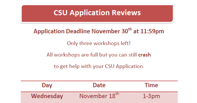 csu chico application essay csu chico application essay