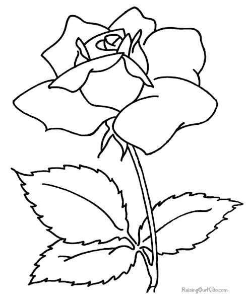 Printable Coloring Book Page Flowers
