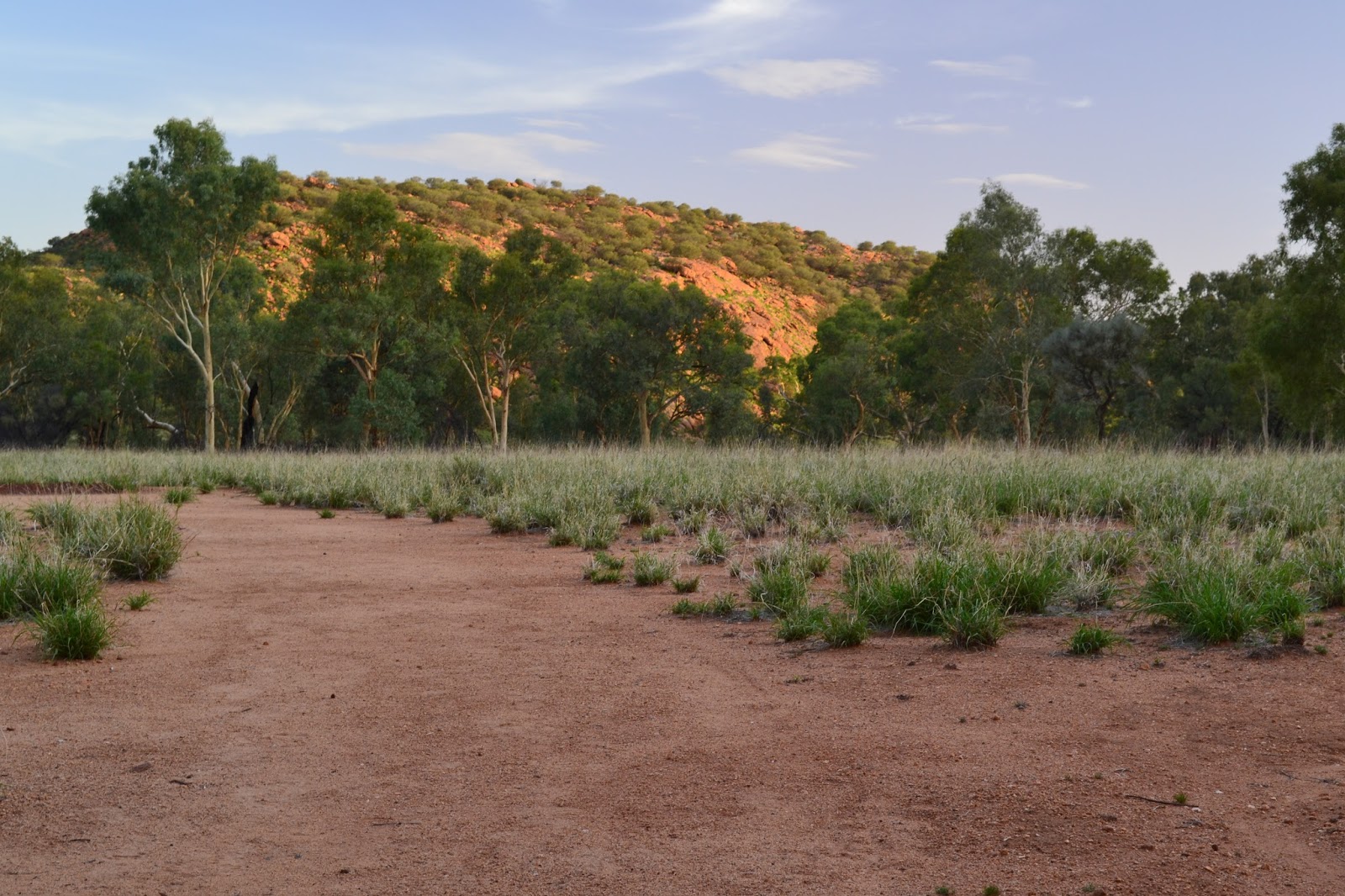 Goin' Feral One Day At A Time Bradshaw Walk, Alice Springs Telegraph