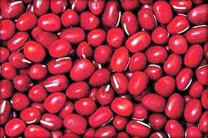 10 Manfaat Dari Makan Kacang Merah Manfaat Dari Makan Kacang Merah