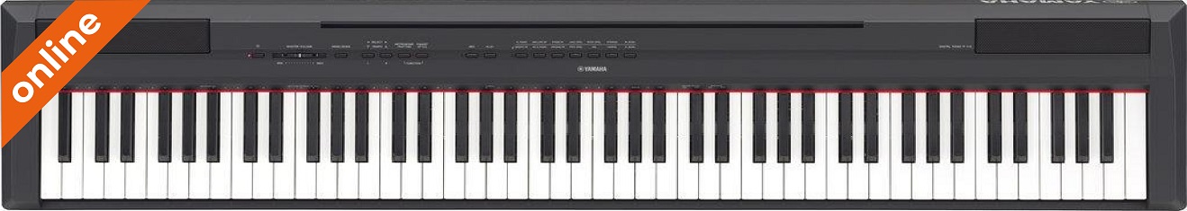 Yamaha P-115