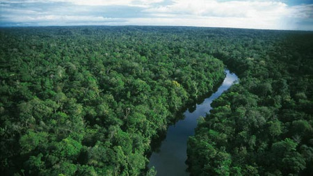 Natural Picture Natural Image Download Nature Images Nature Image