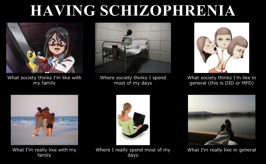 Female Twenty Something Schizophrenic Gsoh Schizophrenia Memes