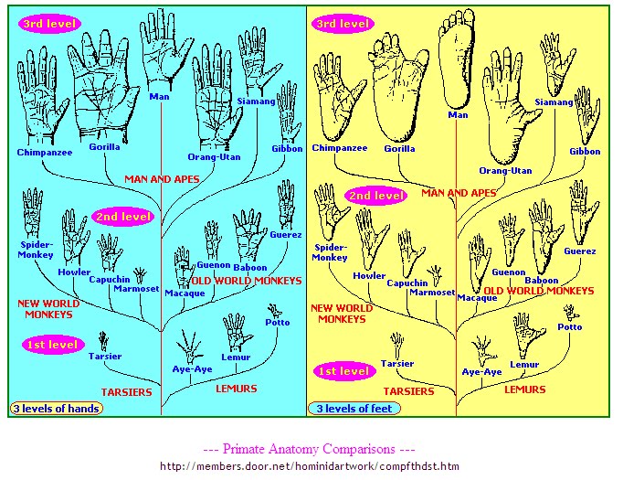 a study of aggression in humans Why studies of fighting fruit flies are relevant to understanding human aggression that in humans, aggression can take study aggression in lab. a study of aggression in humans Why studies of fighting fruit flies are relevant to understanding human aggression that in humans, aggression can take study aggression in lab.