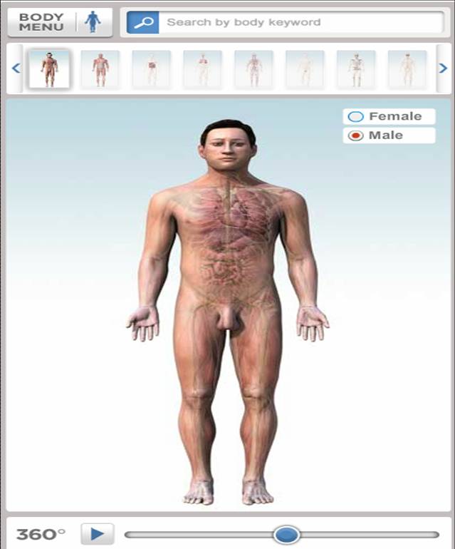 Http Www Healthline Com Health Preparing Your Home Knee Replacement Recovery Http Www Healthline Com Health Preparing Your Home Knee Replacement Recovery