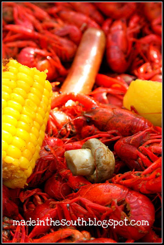 Made In The South Crawfish 101 Boiling