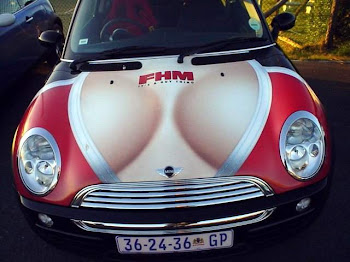 A Real Car Bra ?