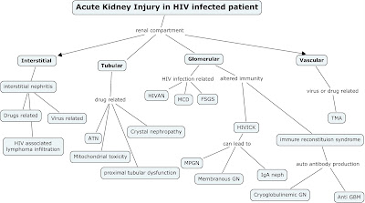 pathophysiology of liver disease and key liver function biology essay Despite epochal progress in the treatment of hepatitis c virus infections, pharmacological treatment strategies for most liver diseases are still limited and new targets for prevention or treatment of liver disease are urgently needed. pathophysiology of liver disease and key liver function biology essay Despite epochal progress in the treatment of hepatitis c virus infections, pharmacological treatment strategies for most liver diseases are still limited and new targets for prevention or treatment of liver disease are urgently needed.